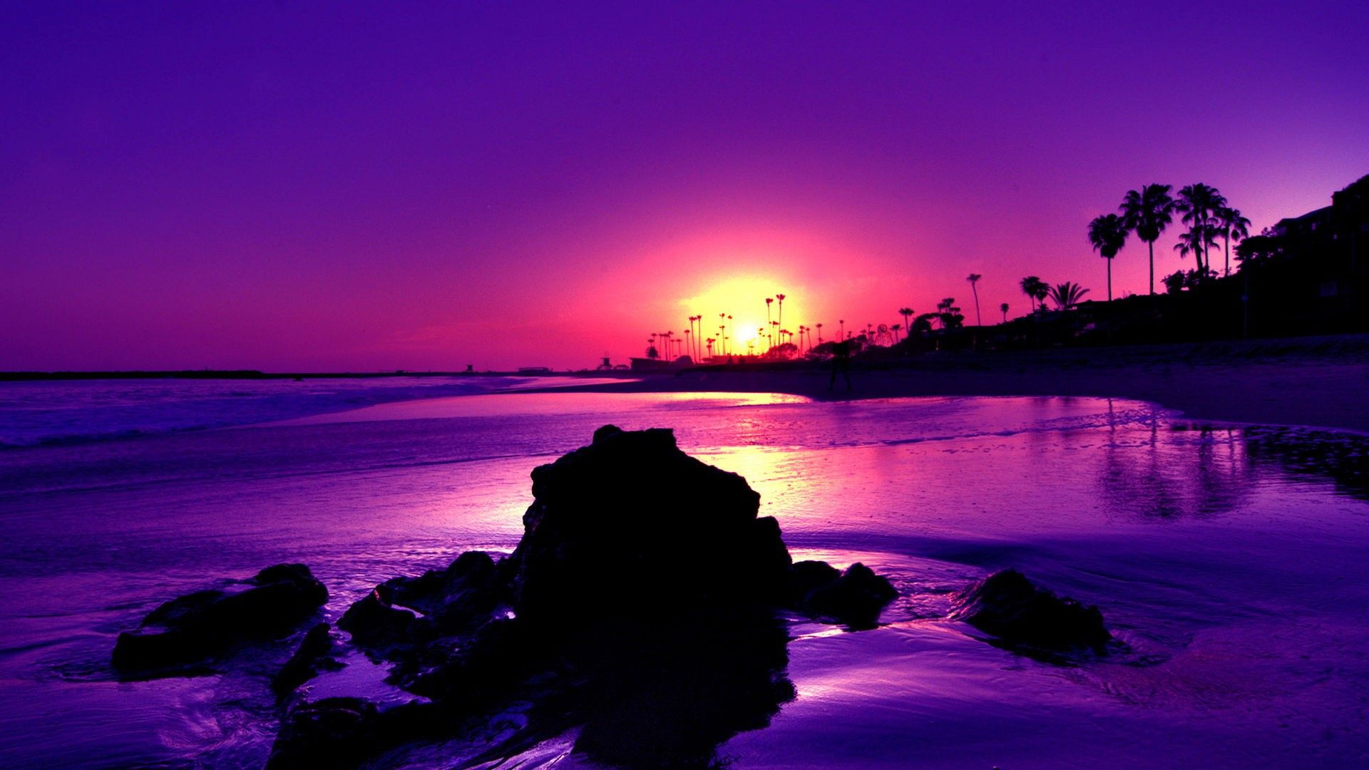 Purple Cool Wallpapers