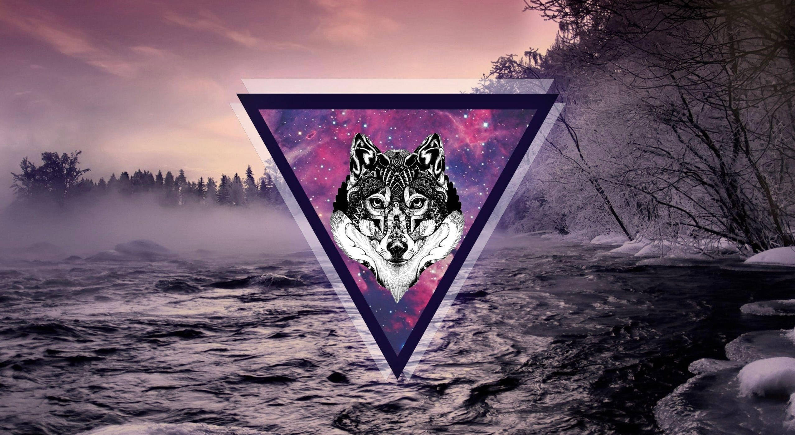 Purple Galaxy Wolf Wallpapers