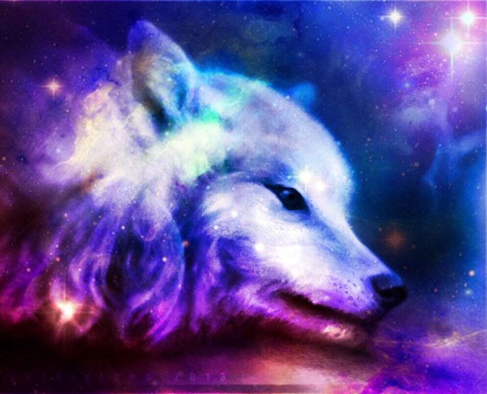Purple Galaxy Wolf Wallpapers