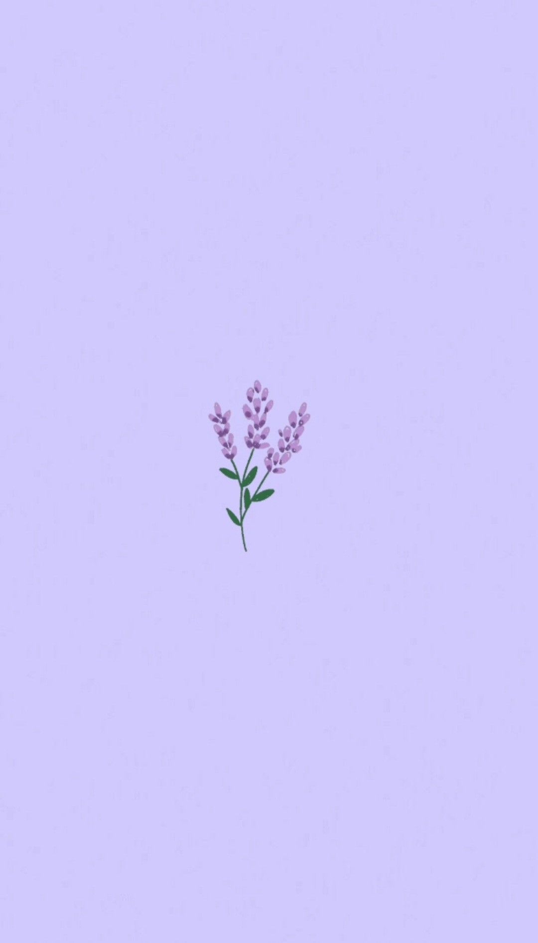 Purple Lavender Wallpapers