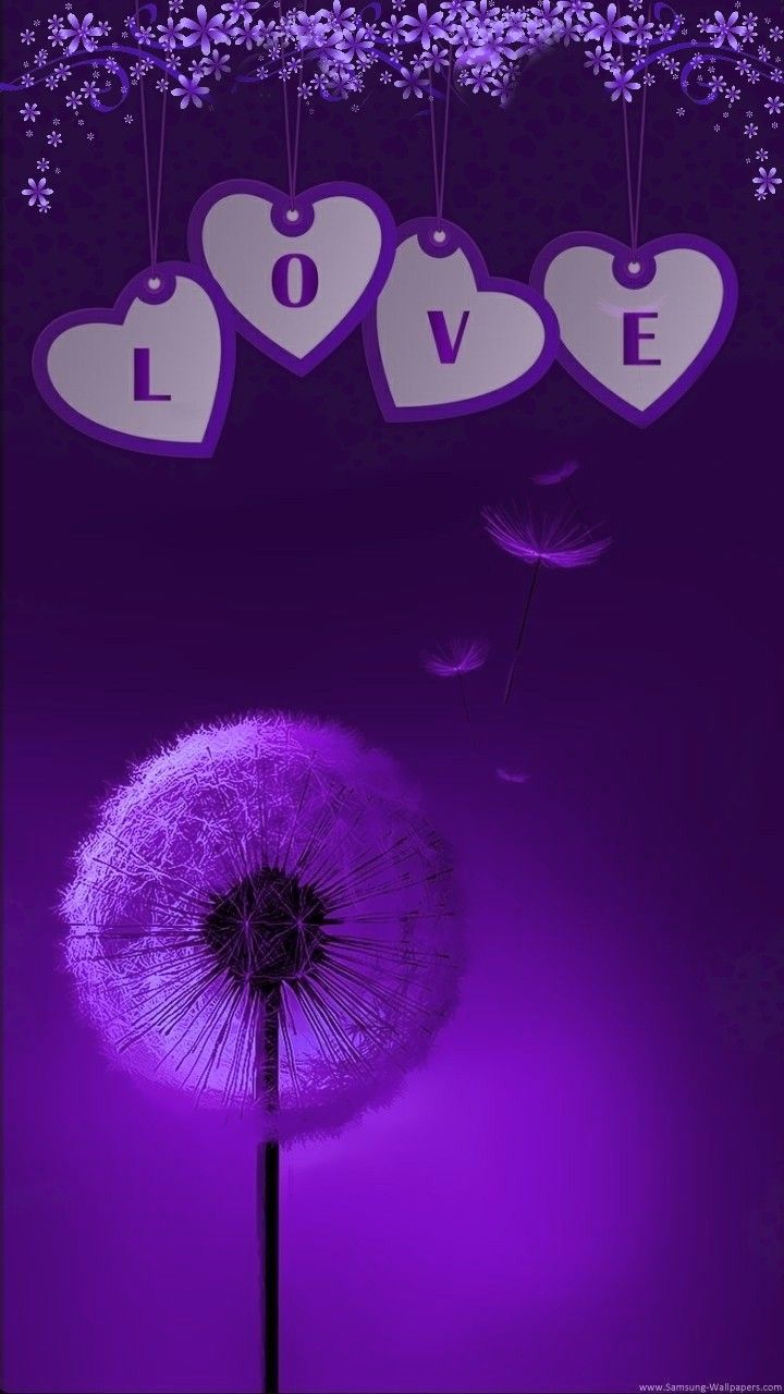 Purple Love Wallpapers