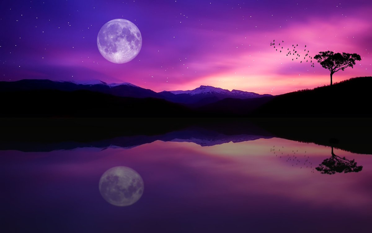 Purple Moonlight Download Wallpapers