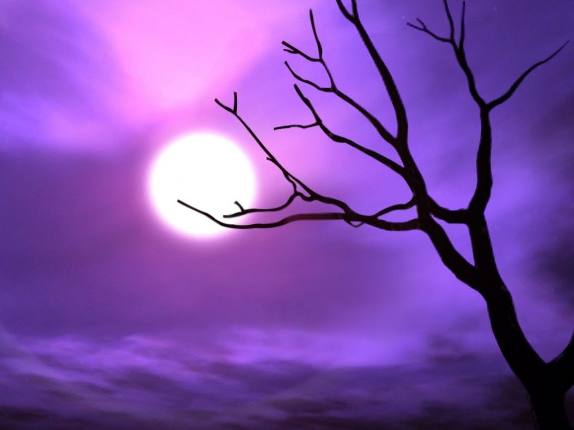 Purple Moonlight Download Wallpapers