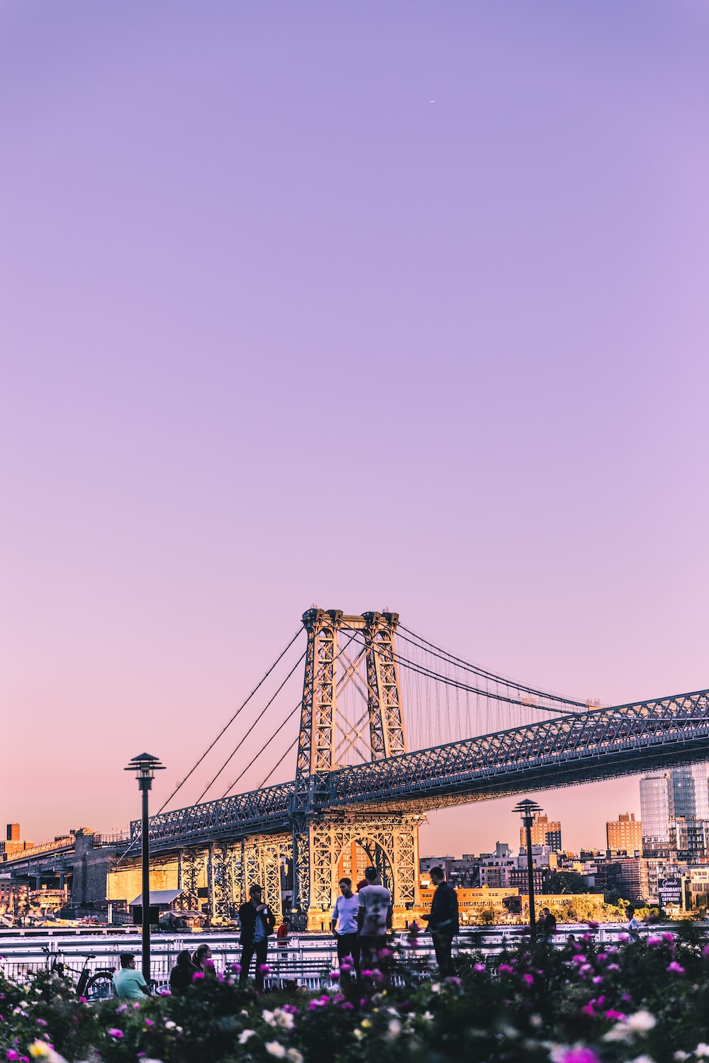 Purple New York Wallpapers