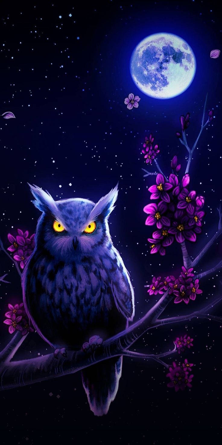 Purple Owl Wallpapers