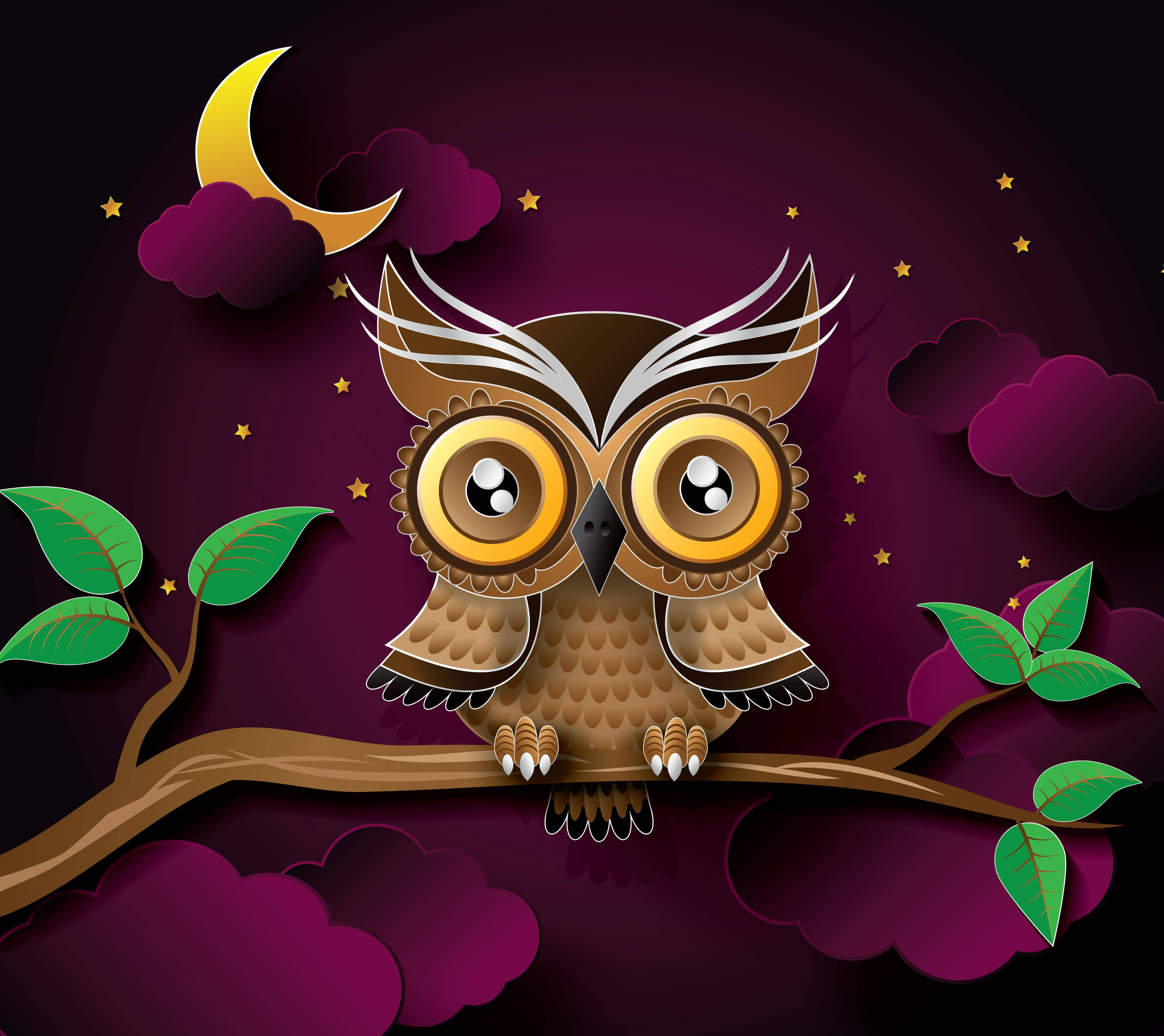 Purple Owl Wallpapers