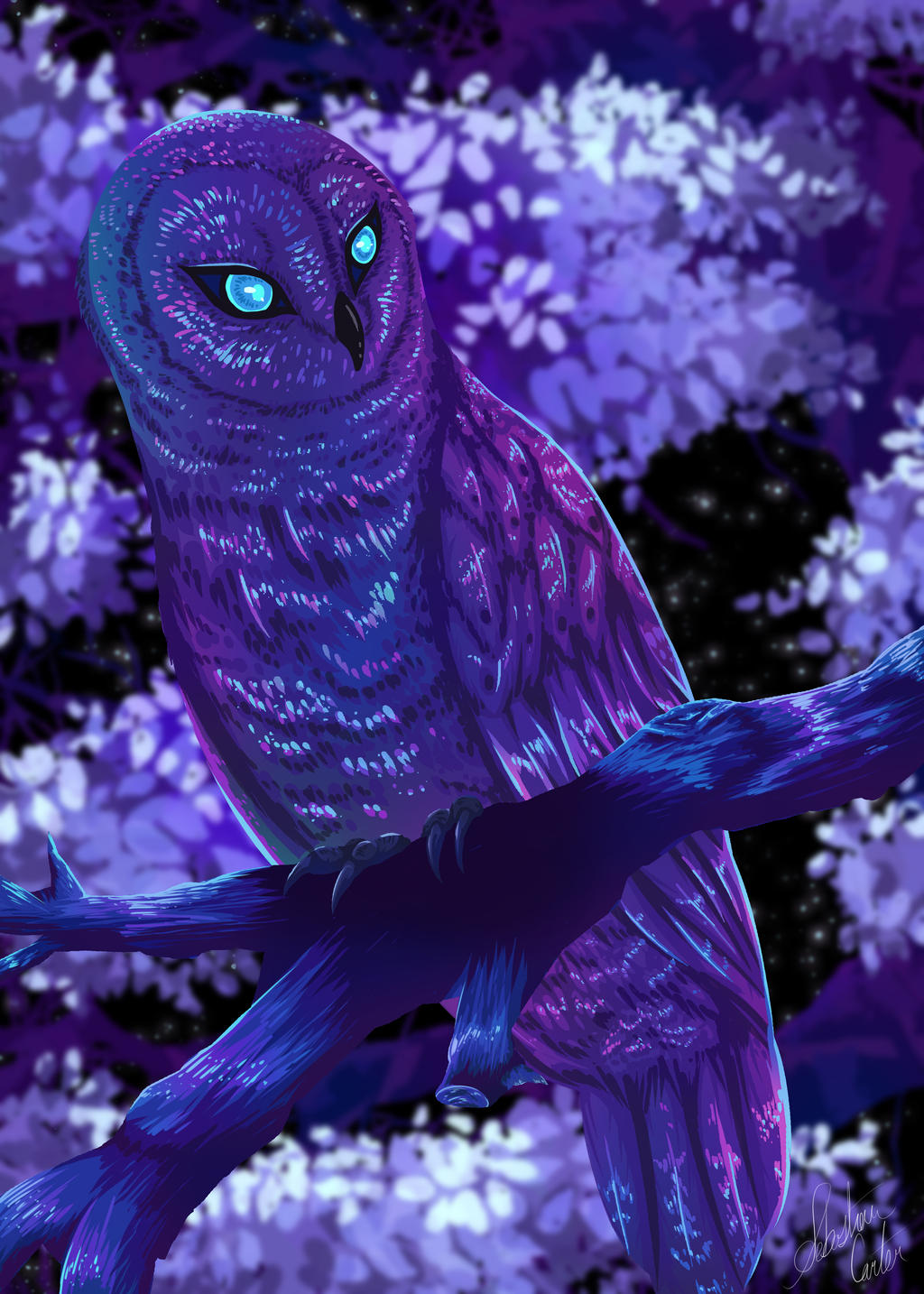 Purple Owl Wallpapers