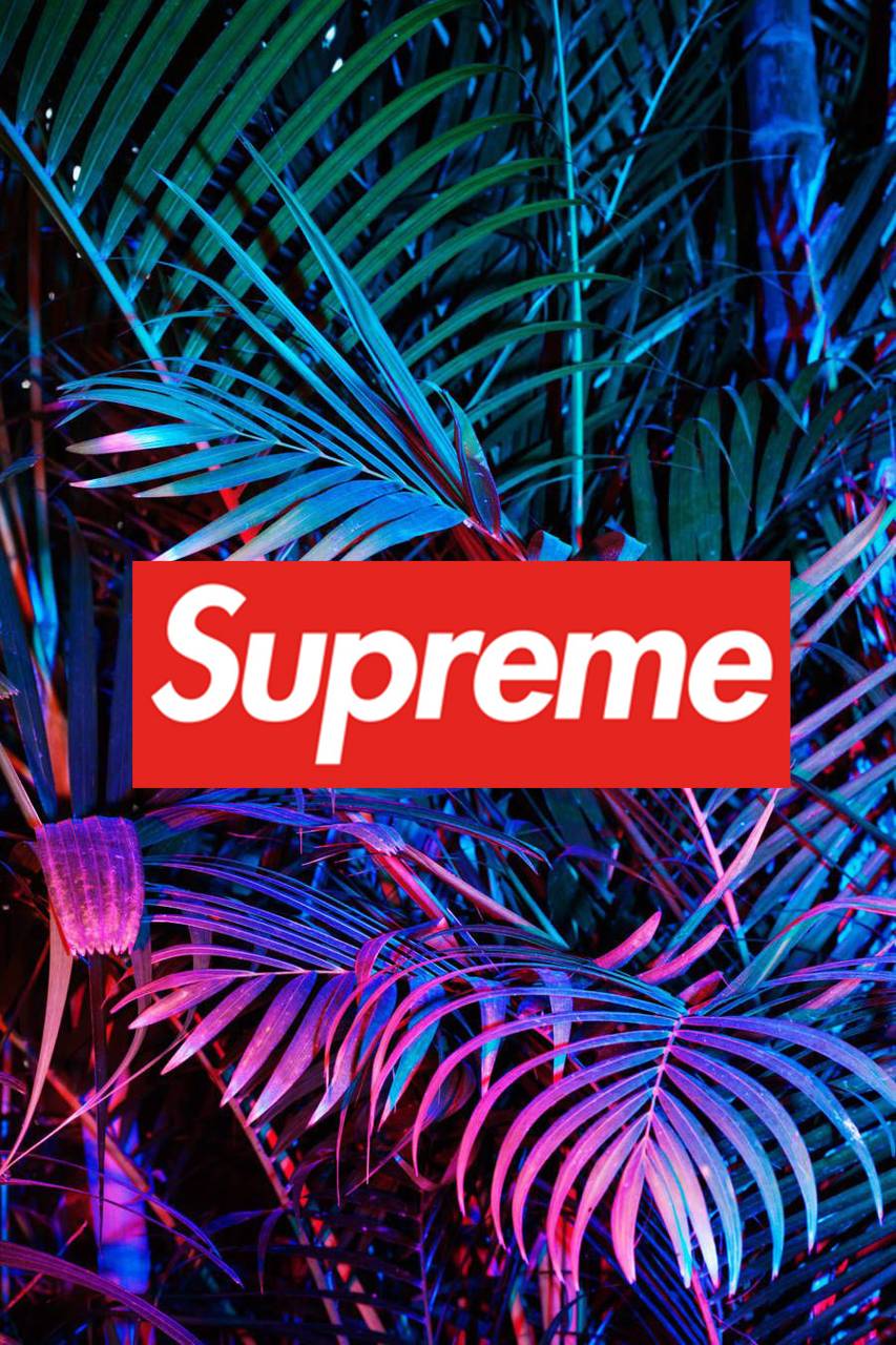 Purple Supreme Wallpapers