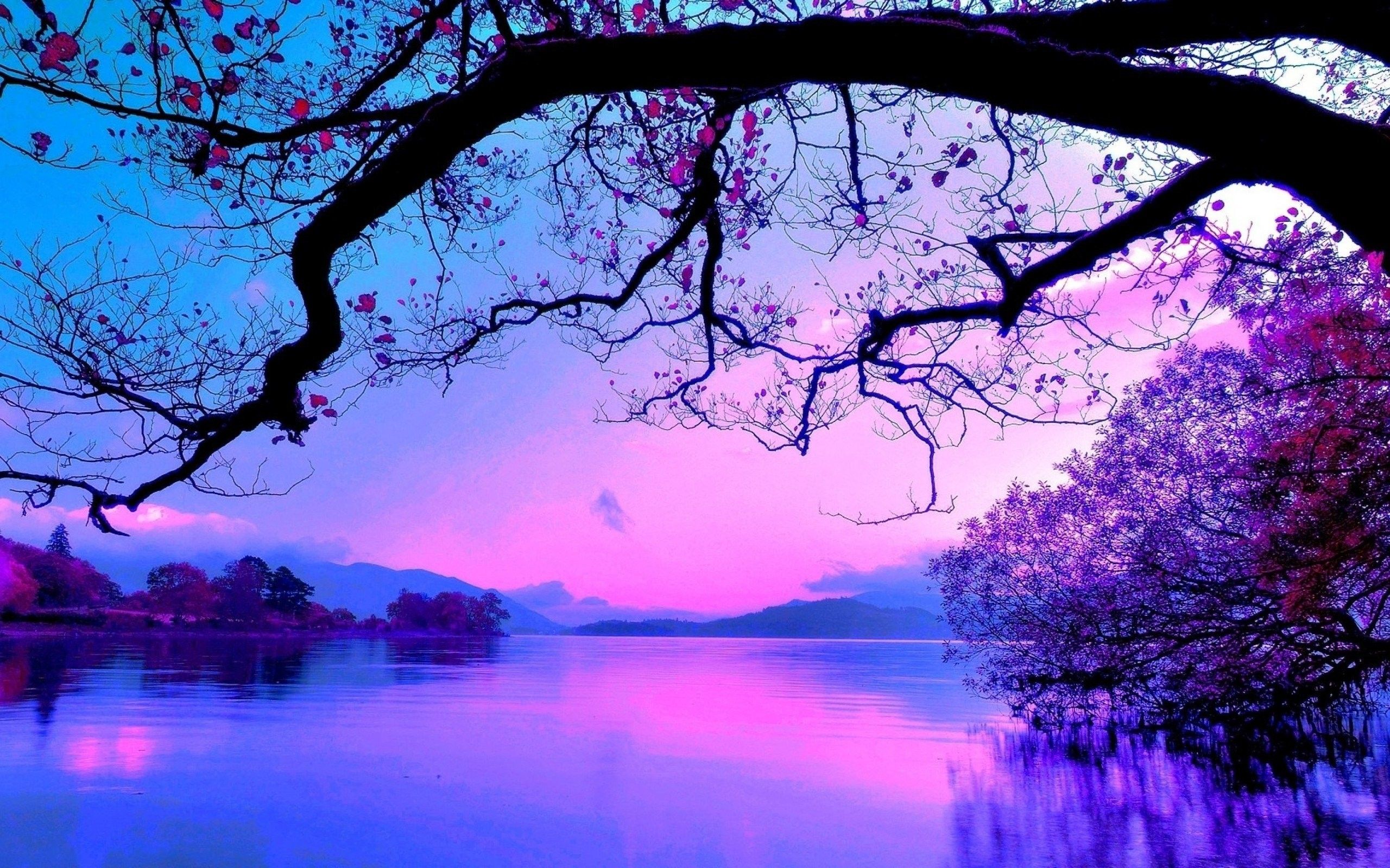 Purple Tree Wallpapers