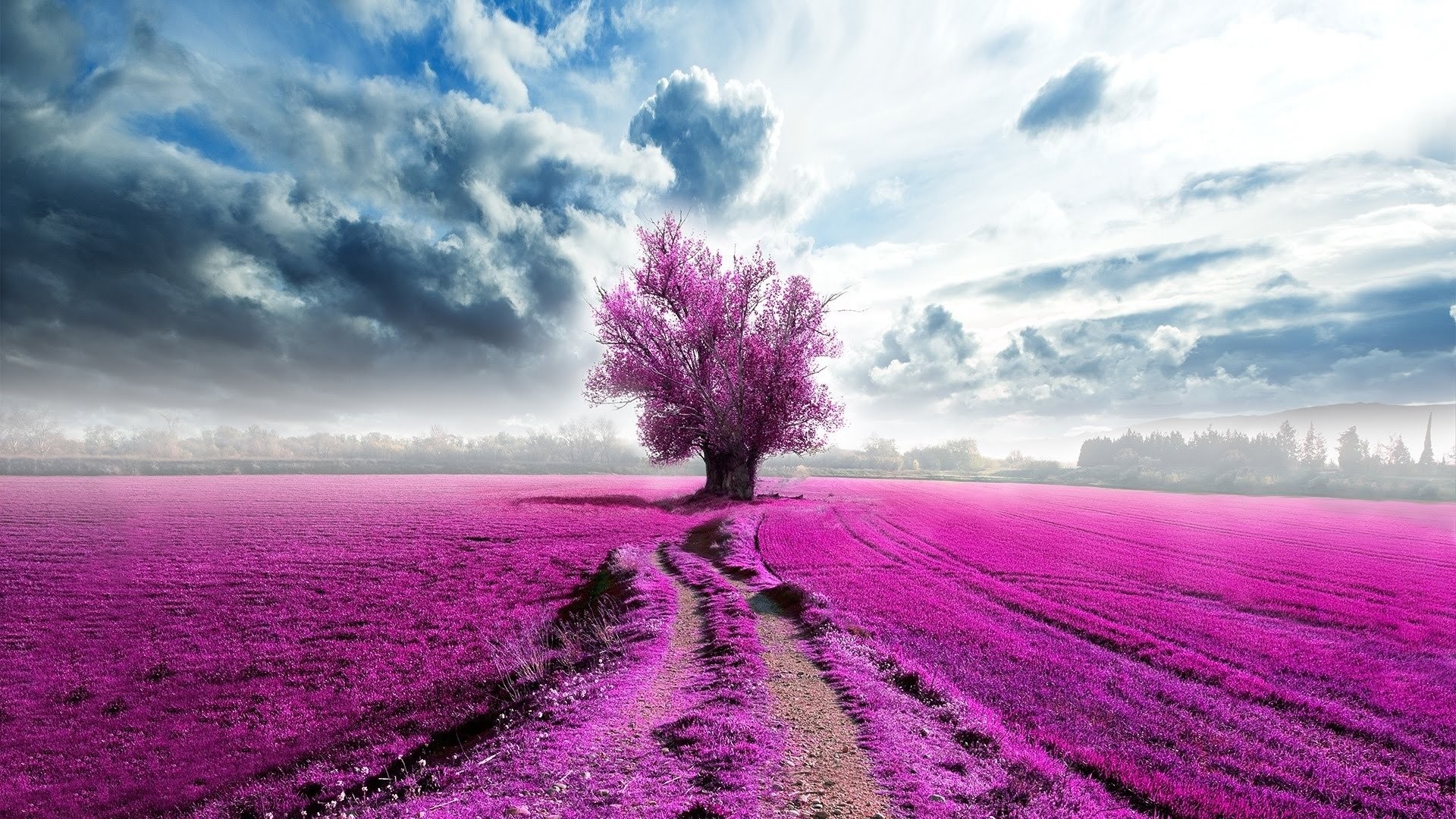 Purple Tree Wallpapers