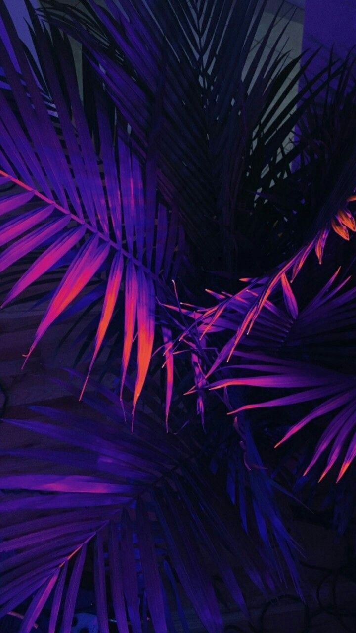 Purple For Phones Wallpapers