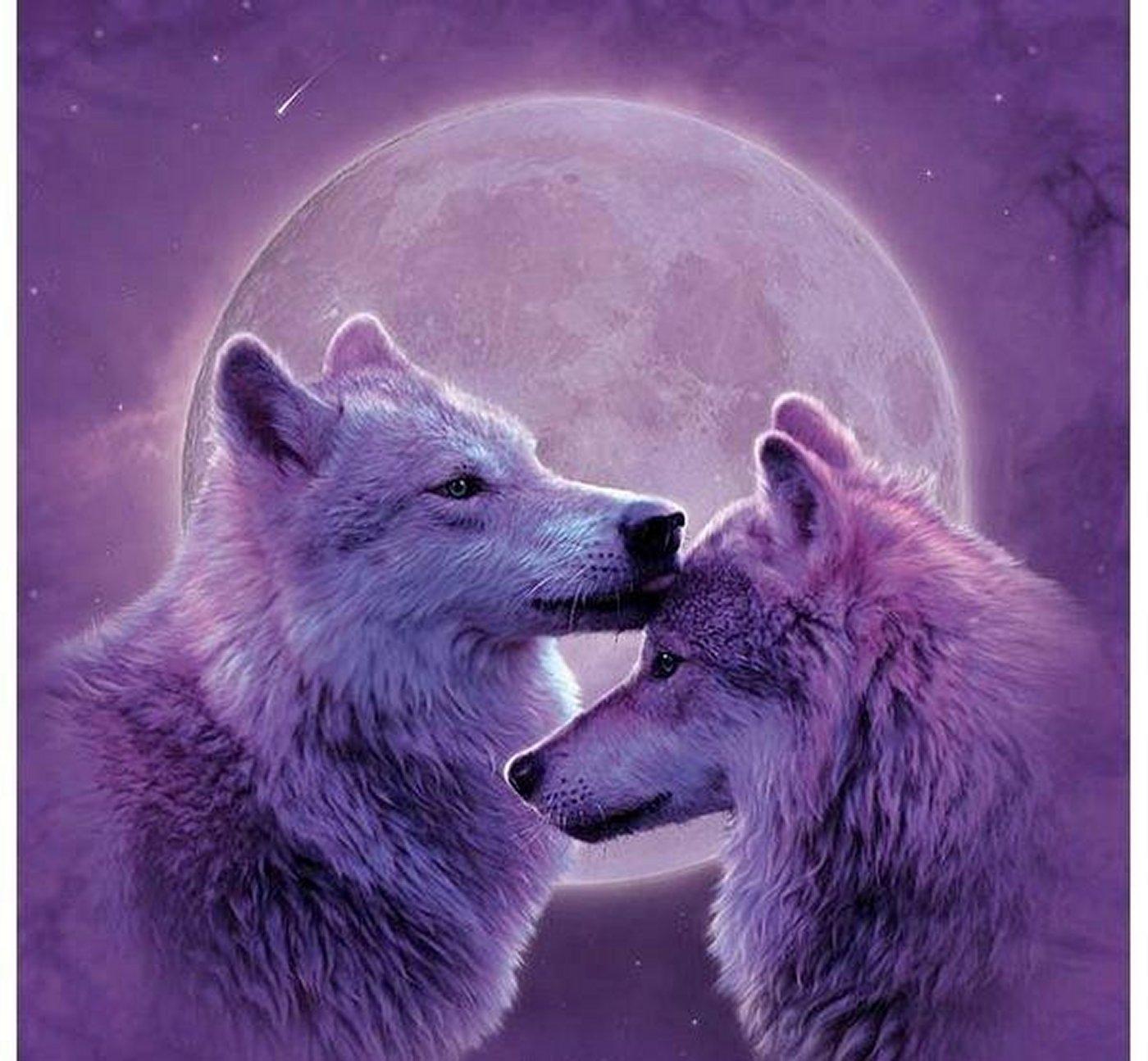 Purple Wolf Wallpapers