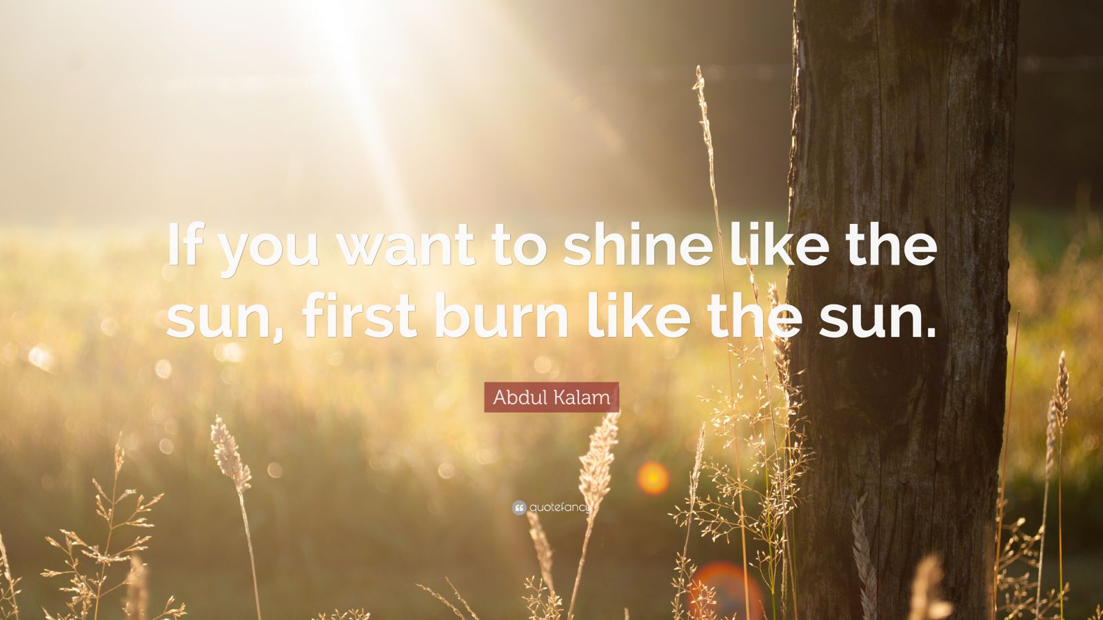 Quotes For The Sun Wallpapers