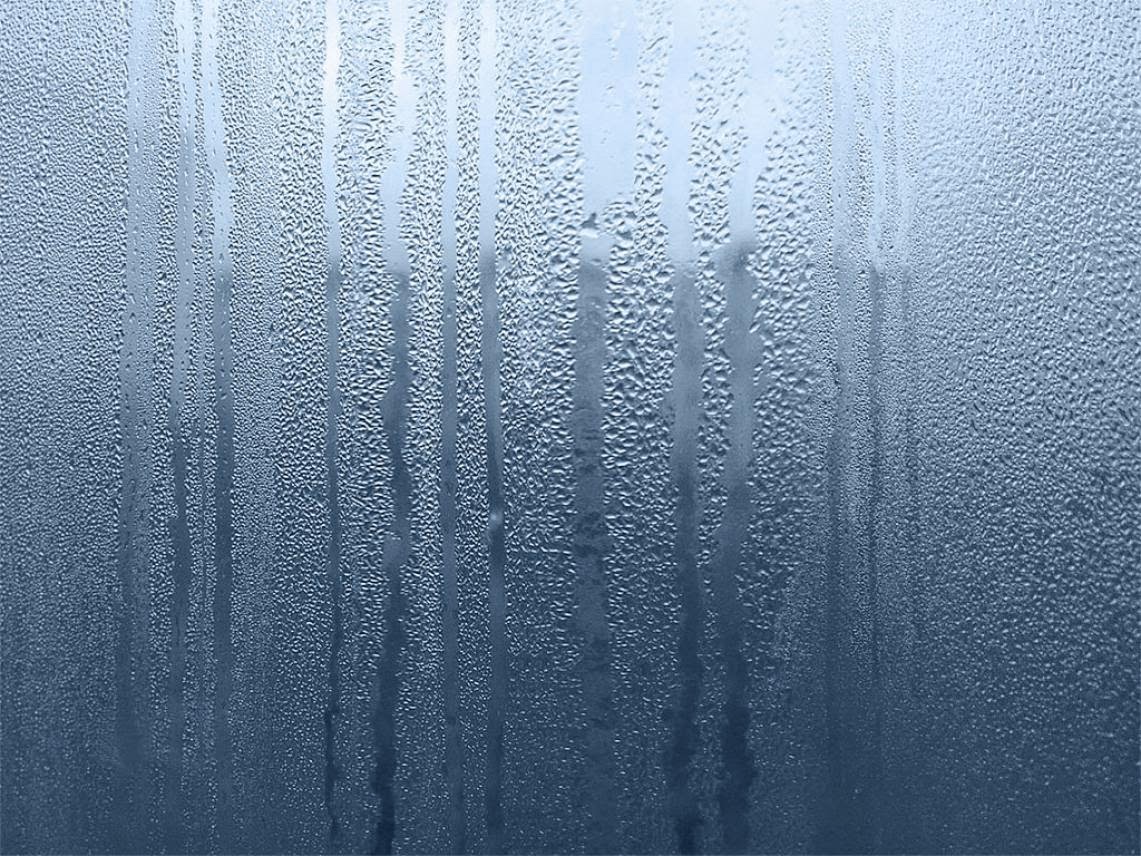 Rain Animated Wallpapers