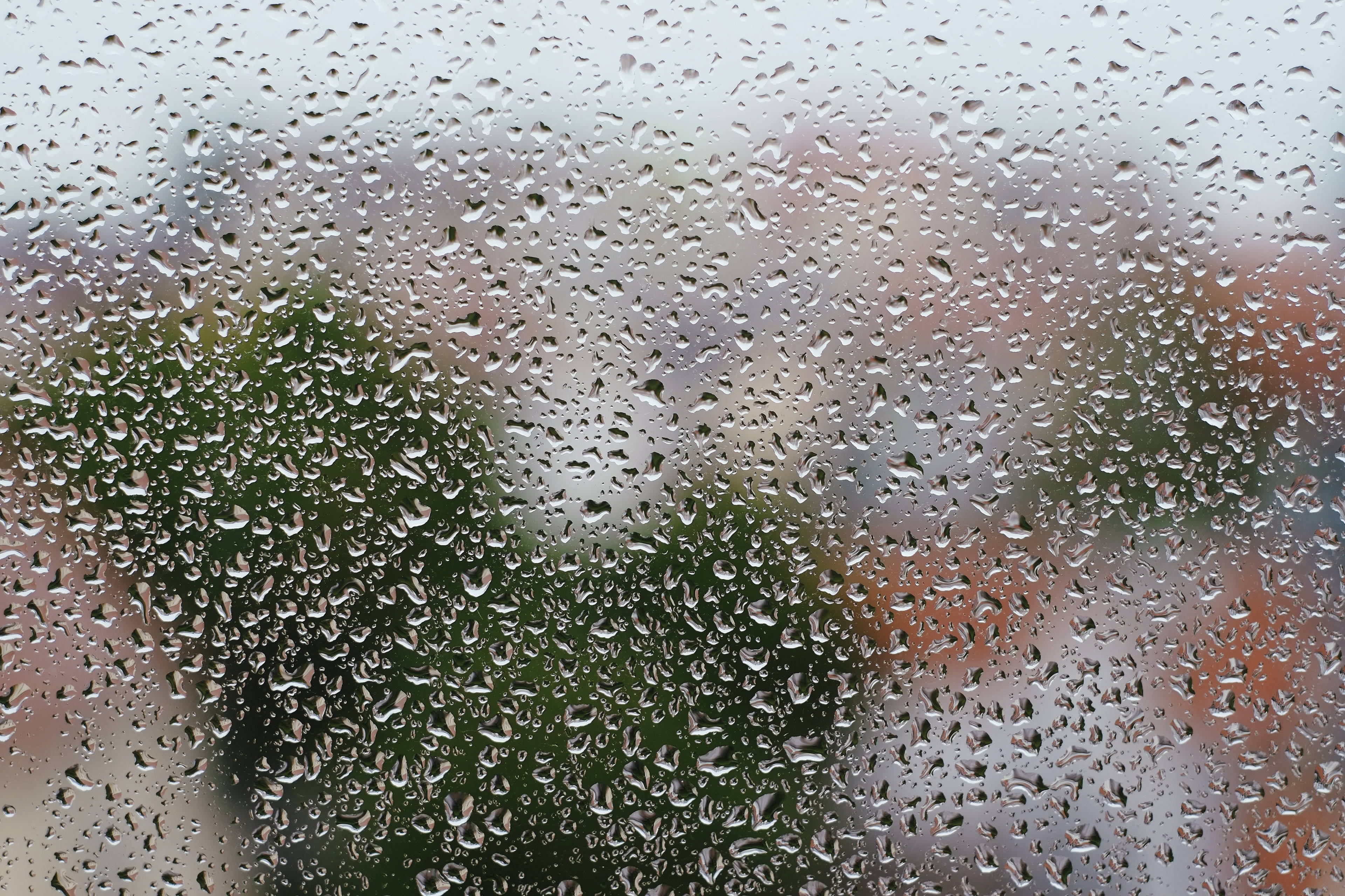 Rain Glass Wallpapers