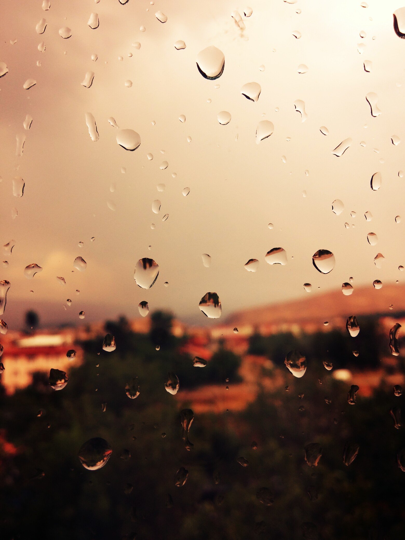 Rain Glass Wallpapers