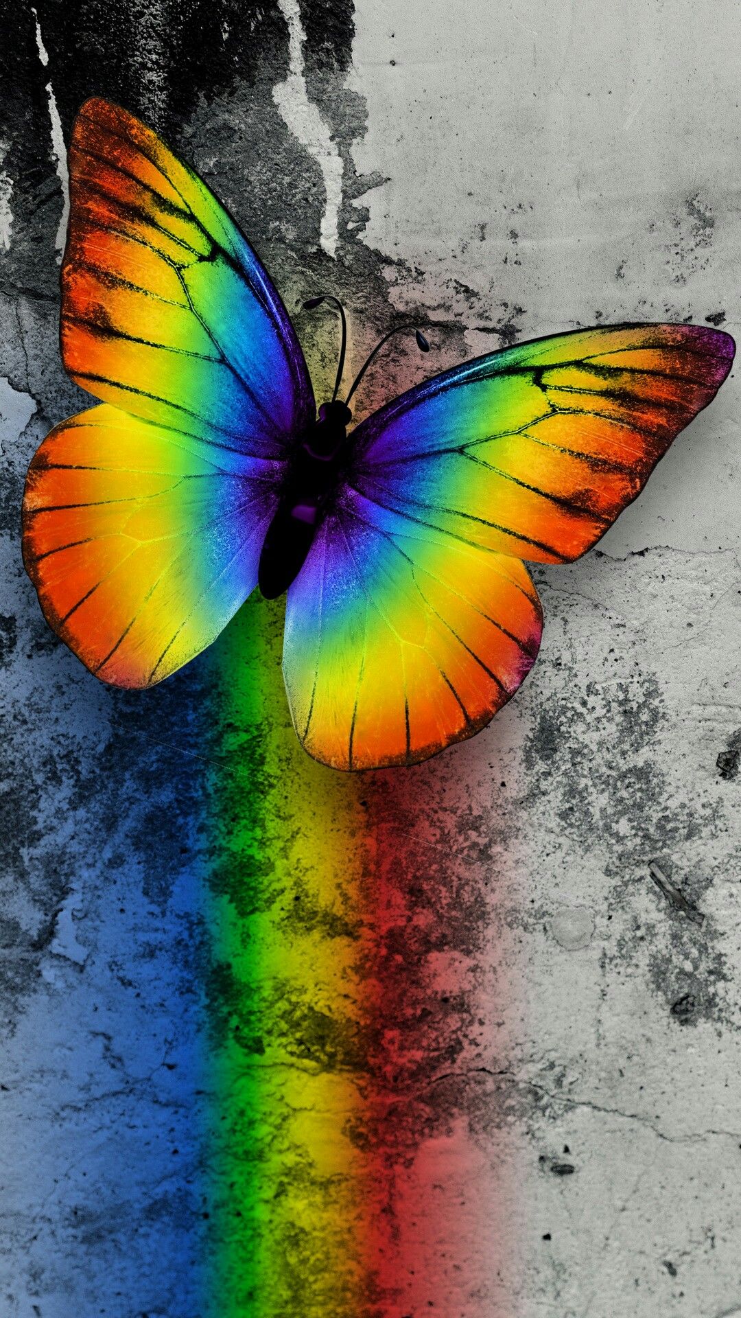 Rainbow Butterfly Wallpapers