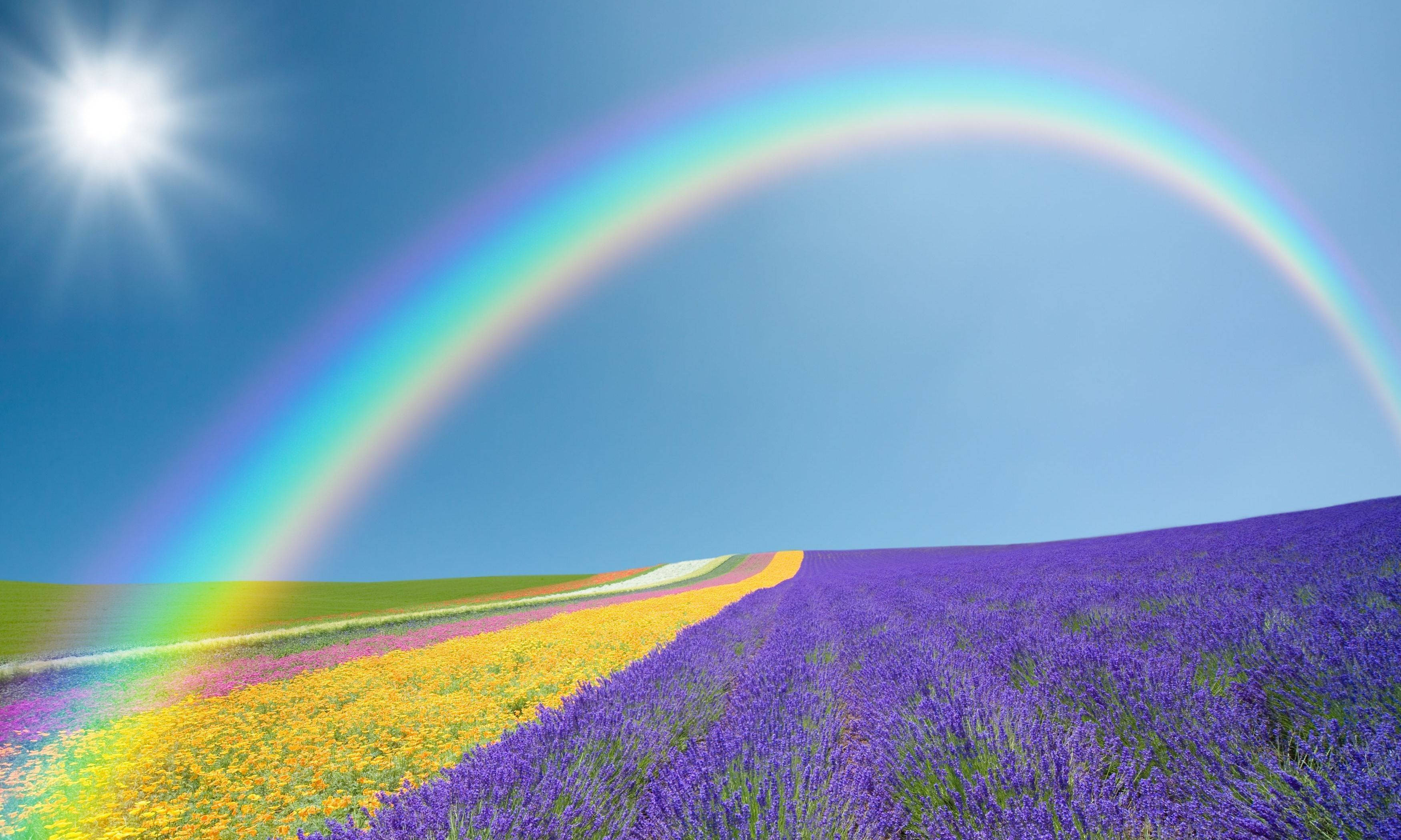 Rainbow Desktop Wallpapers