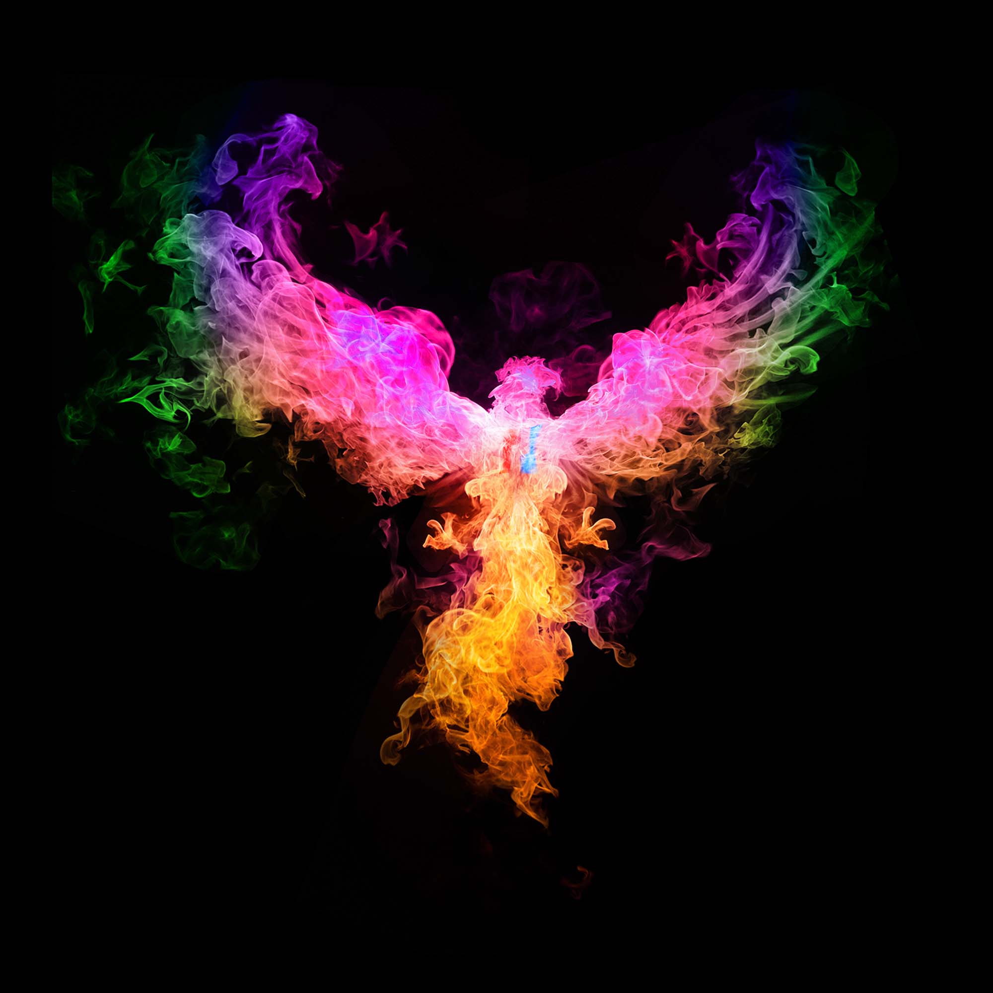 Rainbow Phoenix Wallpapers