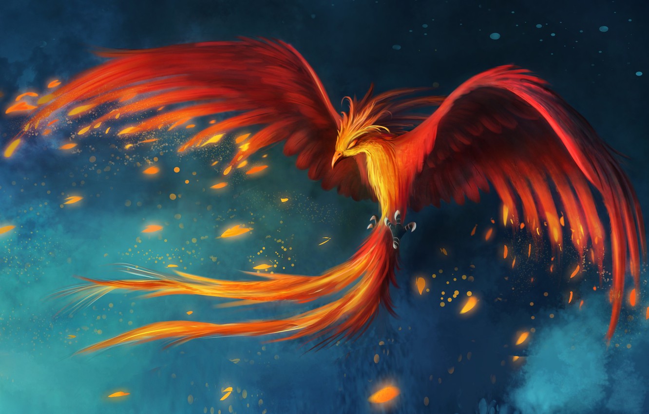 Rainbow Phoenix Wallpapers