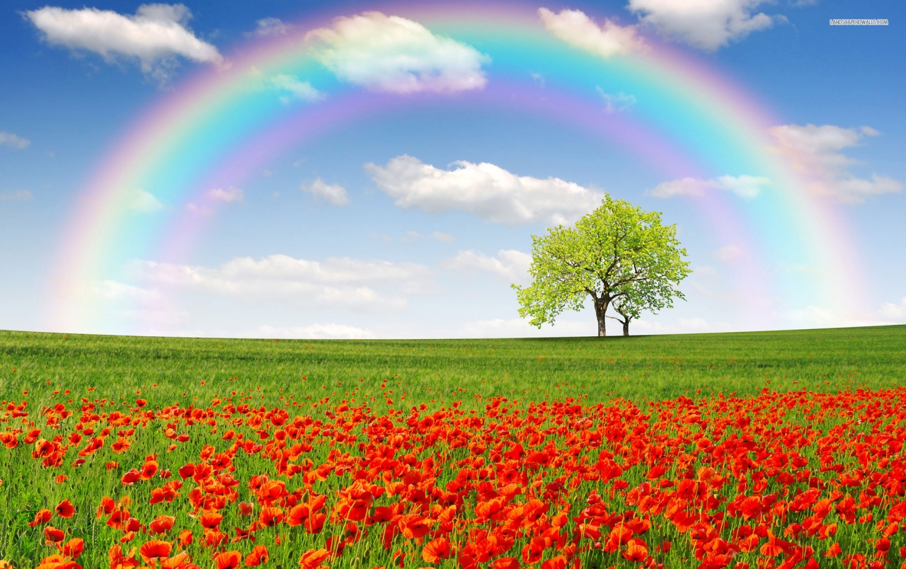 Rainbow Sky Wallpapers