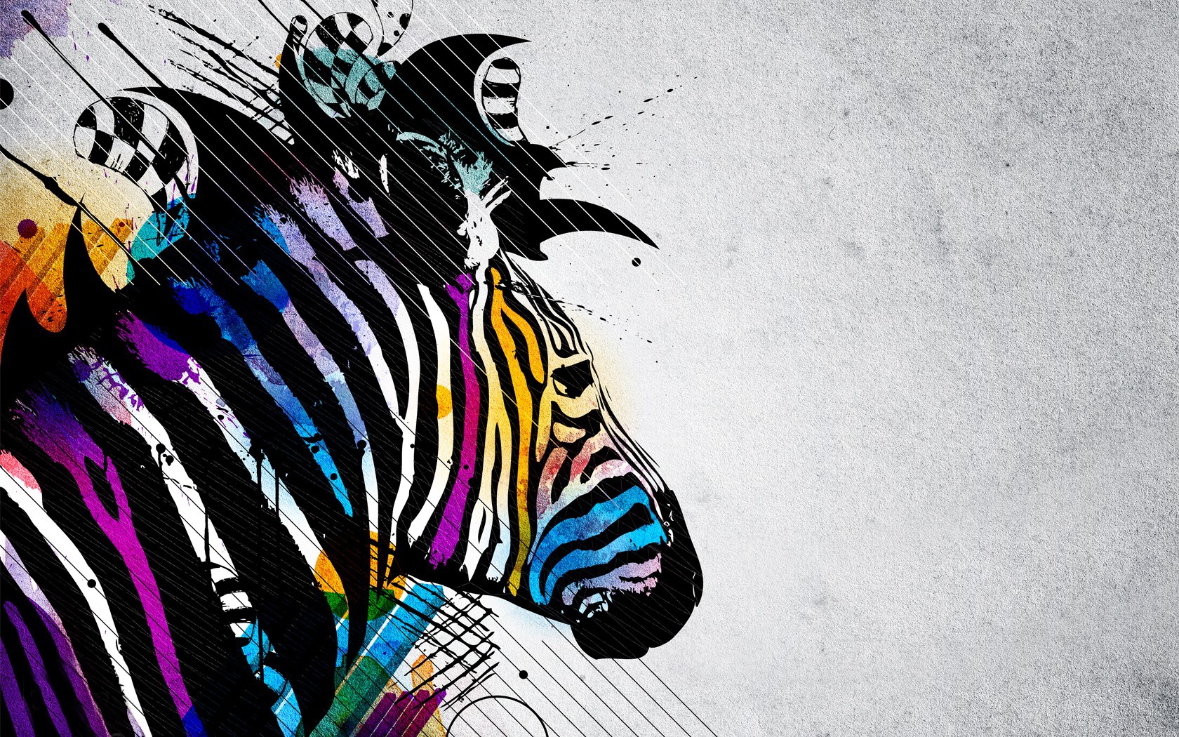 Rainbow Zebra Wallpapers