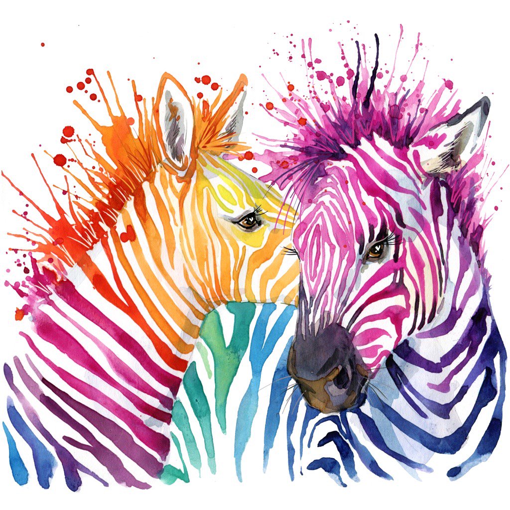 Rainbow Zebra Wallpapers