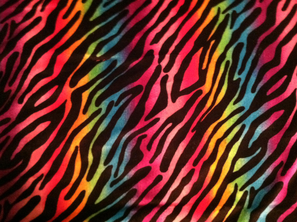 Rainbow Zebra Wallpapers