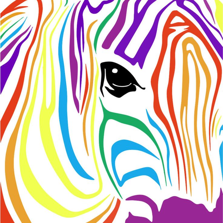 Rainbow Zebra Wallpapers