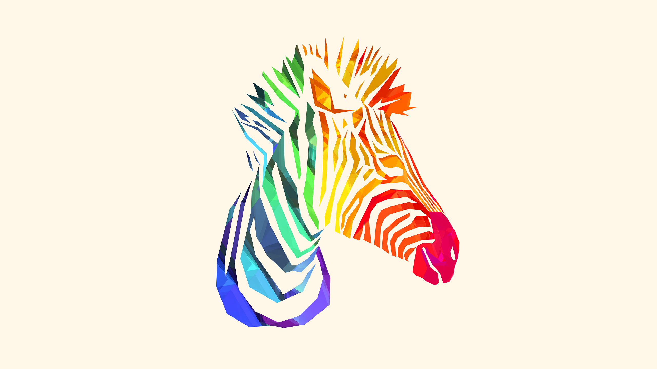 Rainbow Zebra Wallpapers