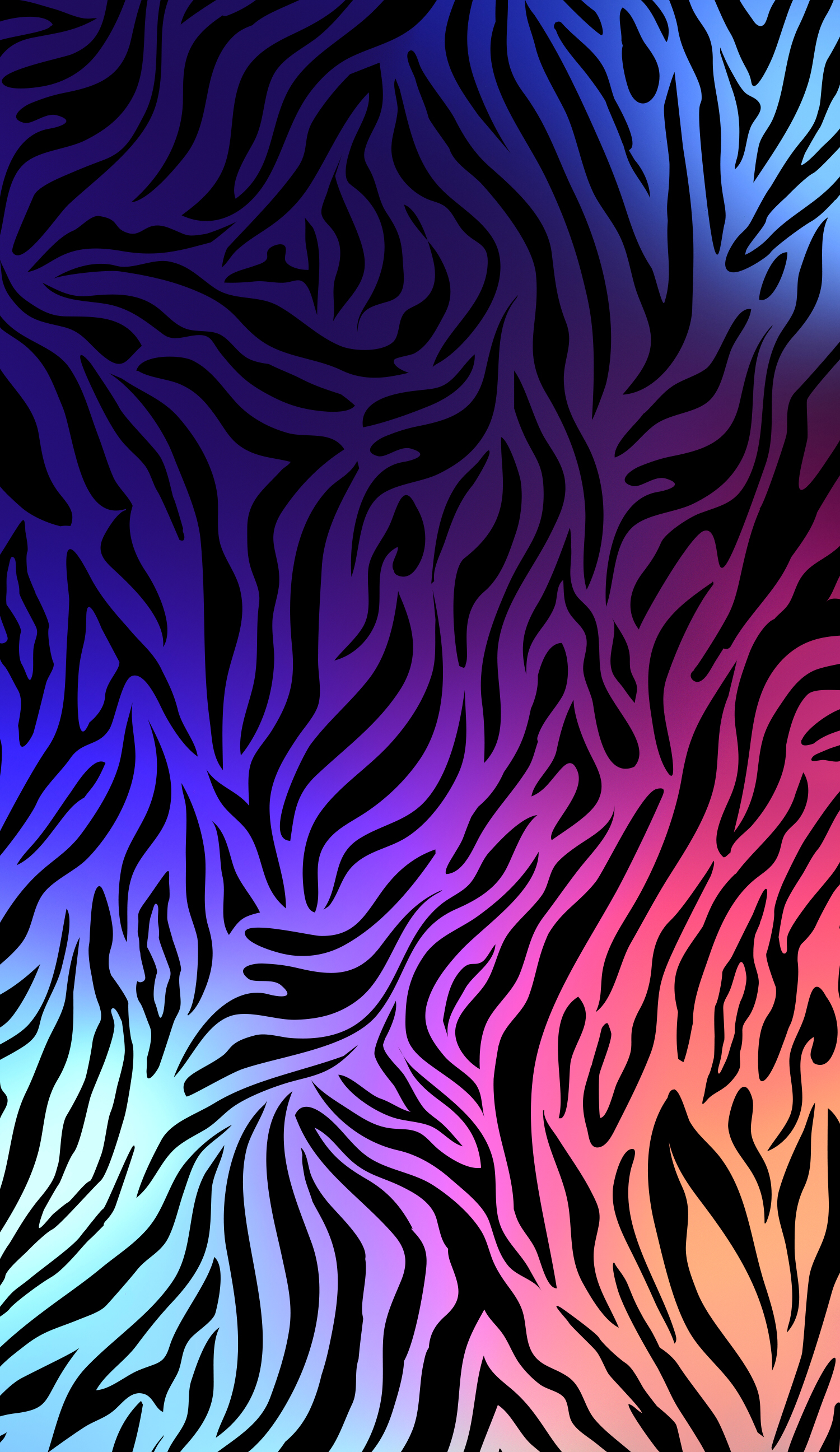 Rainbow Zebra Wallpapers