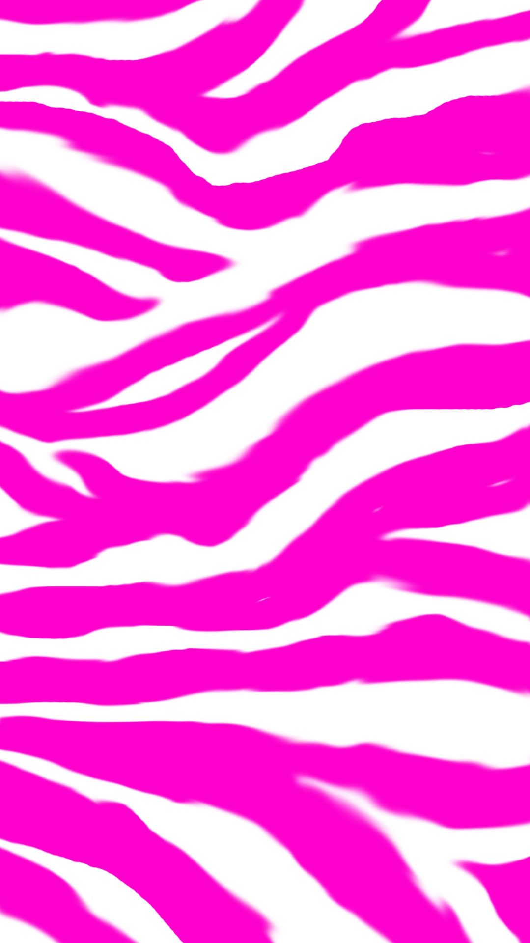 Rainbow Zebra Wallpapers