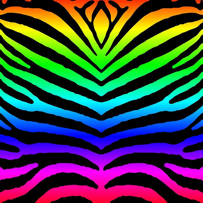 Rainbow Zebra Wallpapers