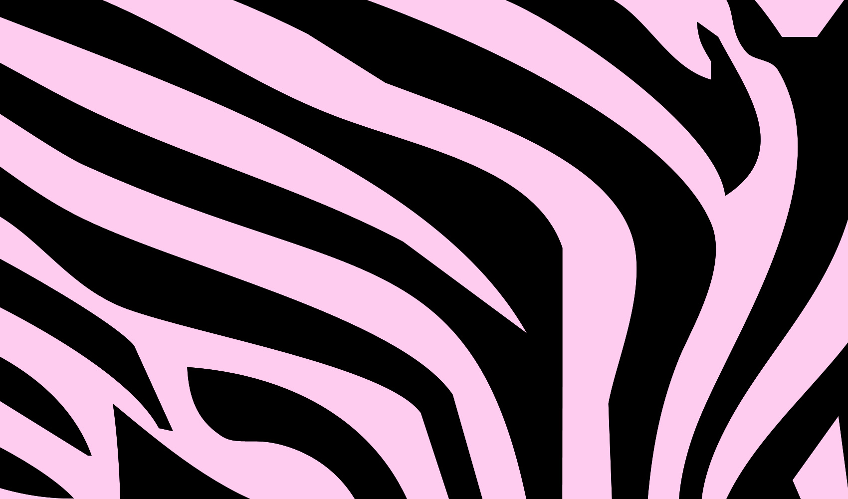 Rainbow Zebra Wallpapers