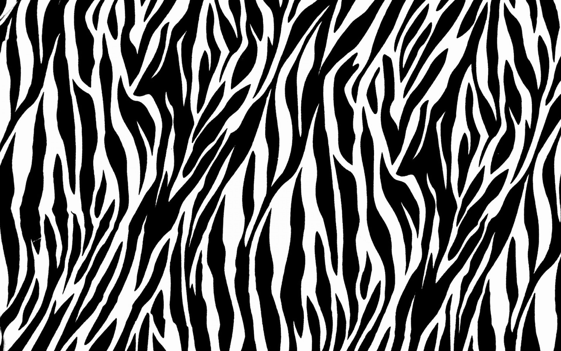 Rainbow Zebra Wallpapers