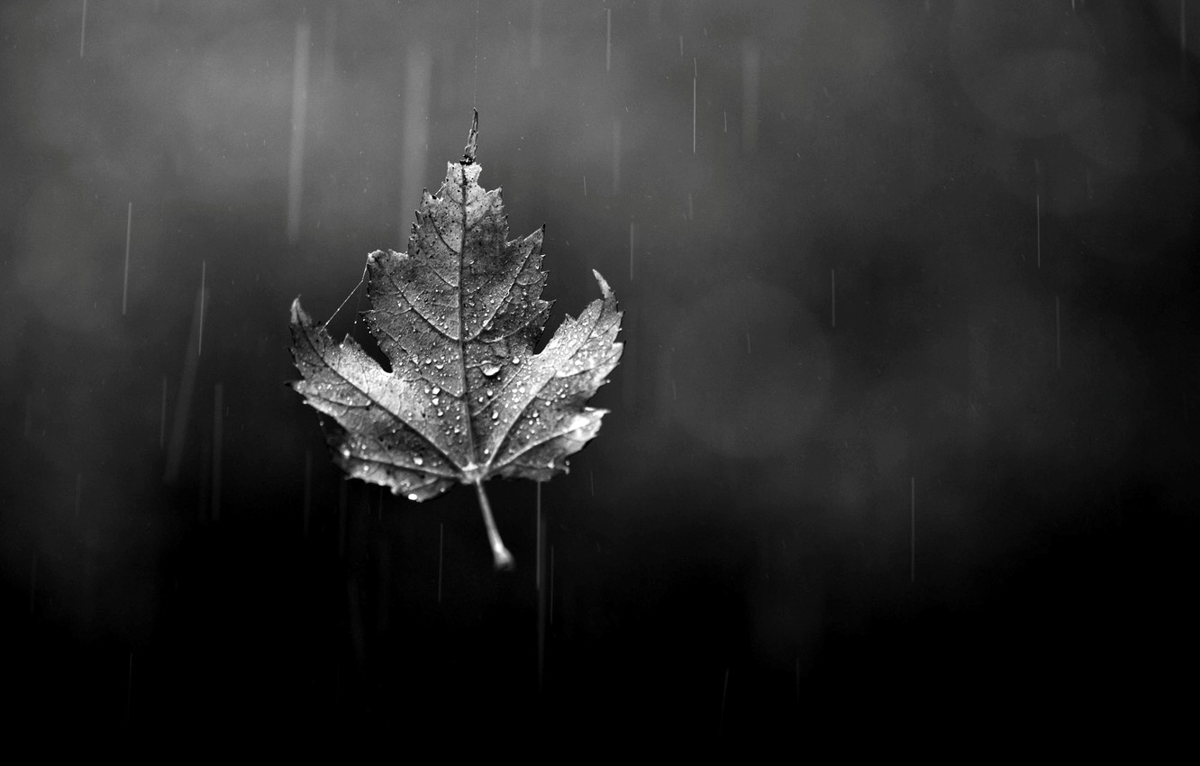 Raining Black And White Wallpapers