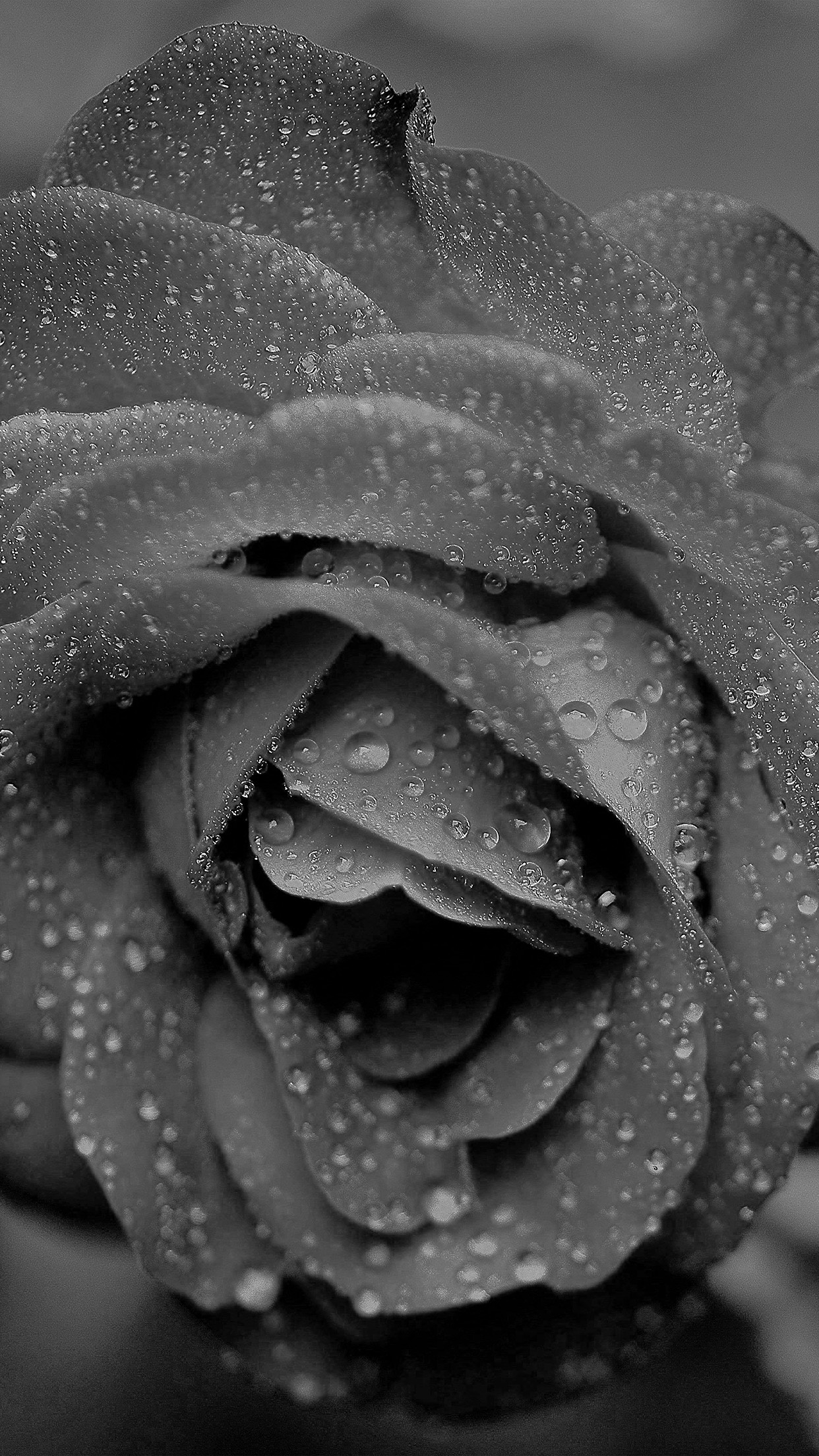 Raining Black And White Wallpapers