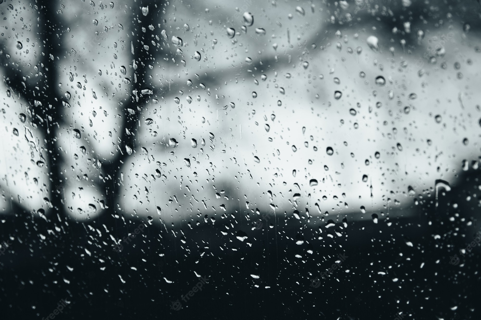 Raining Black And White Wallpapers