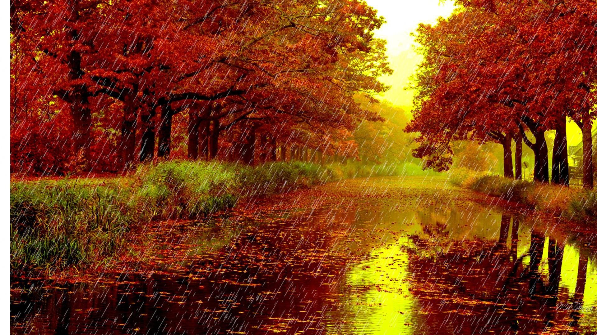 Rainy Autumn Day Wallpapers
