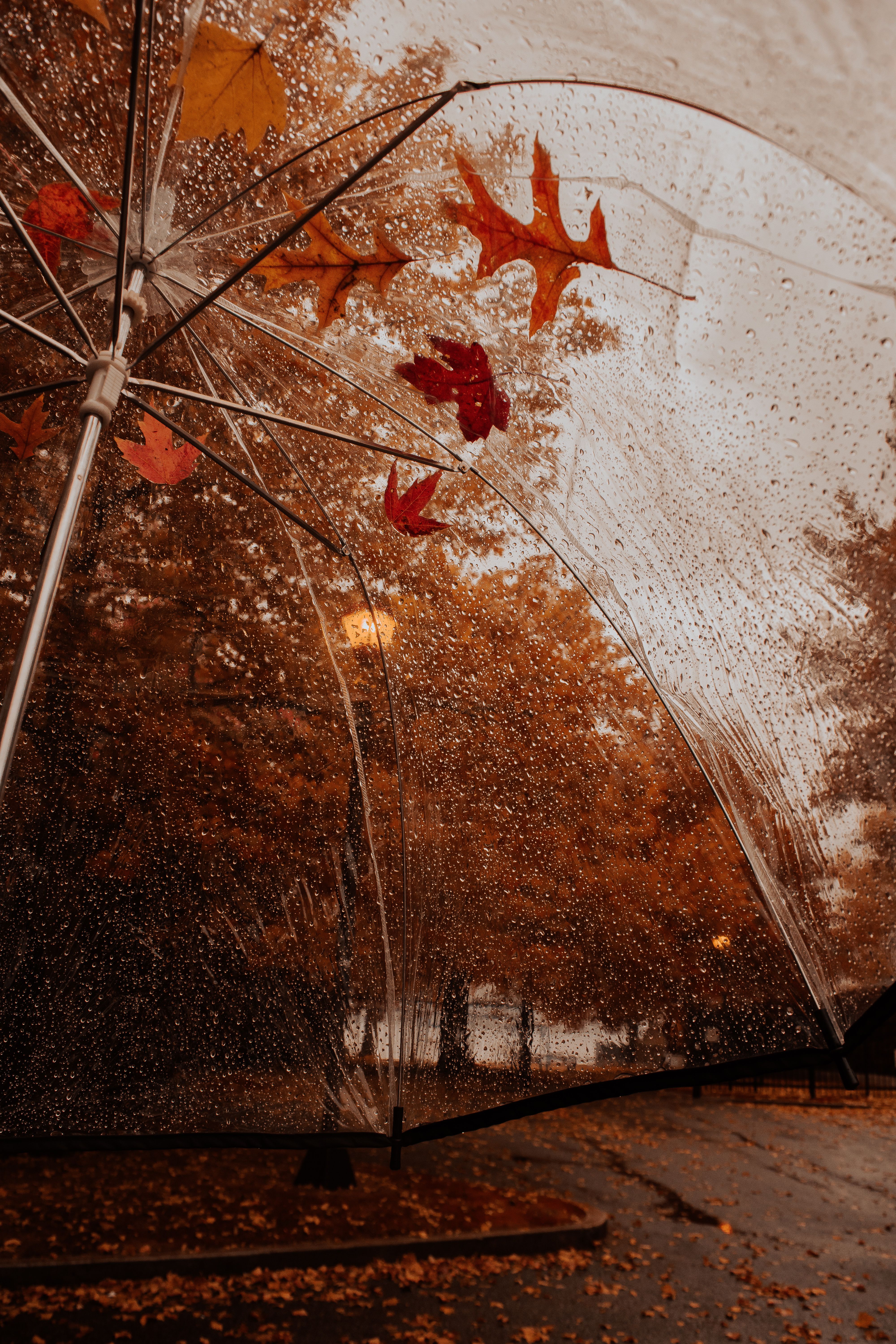 Rainy Autumn Day Wallpapers