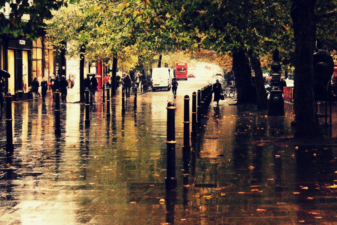 Rainy Autumn Day Wallpapers