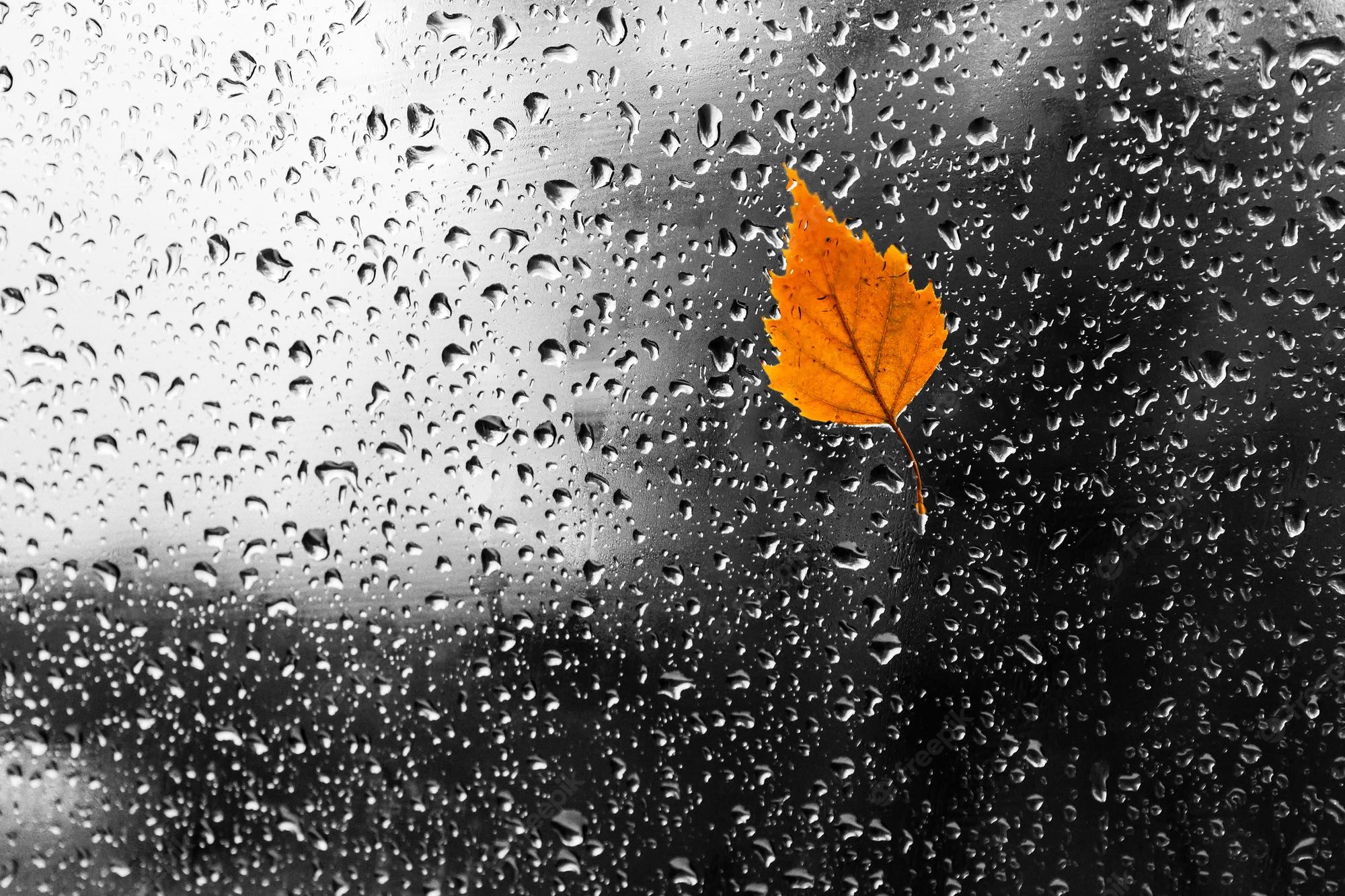 Rainy Autumn Day Wallpapers