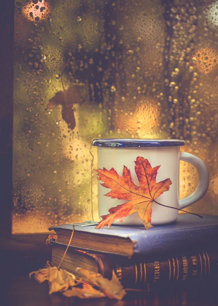 Rainy Autumn Day Wallpapers