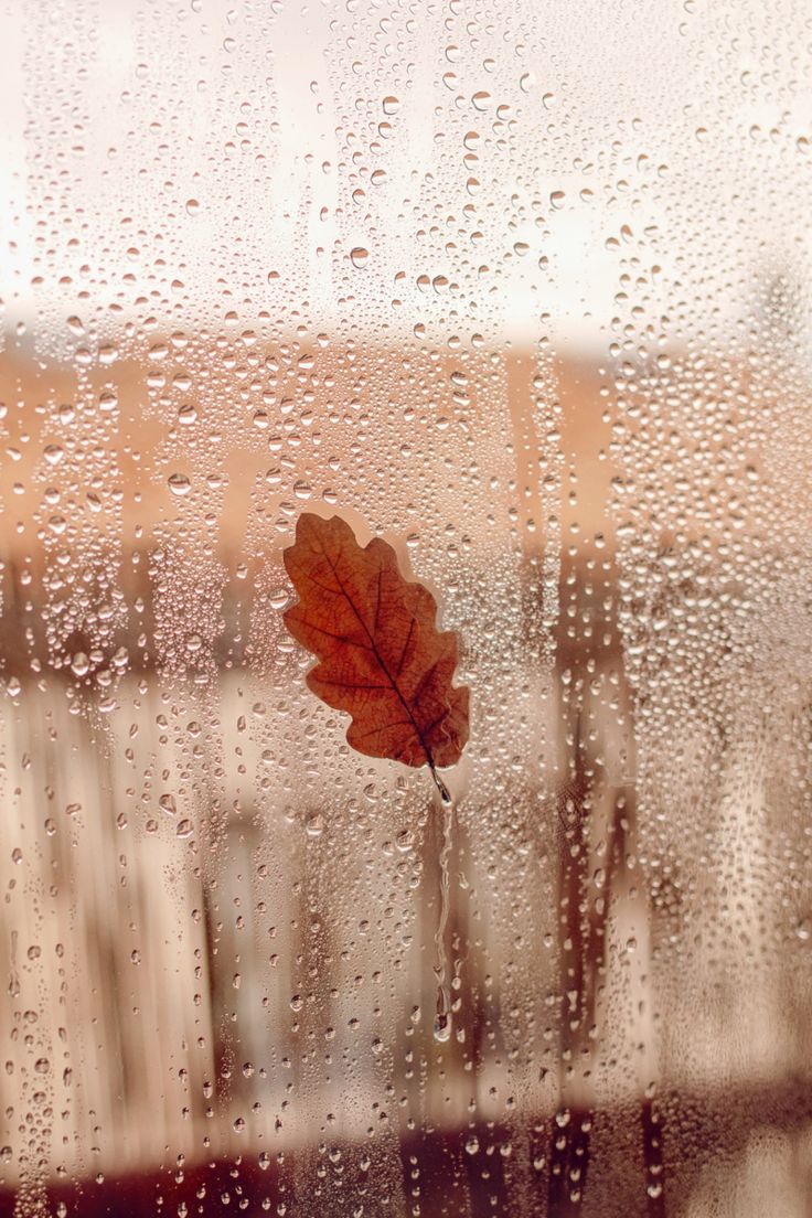Rainy Autumn Day Wallpapers