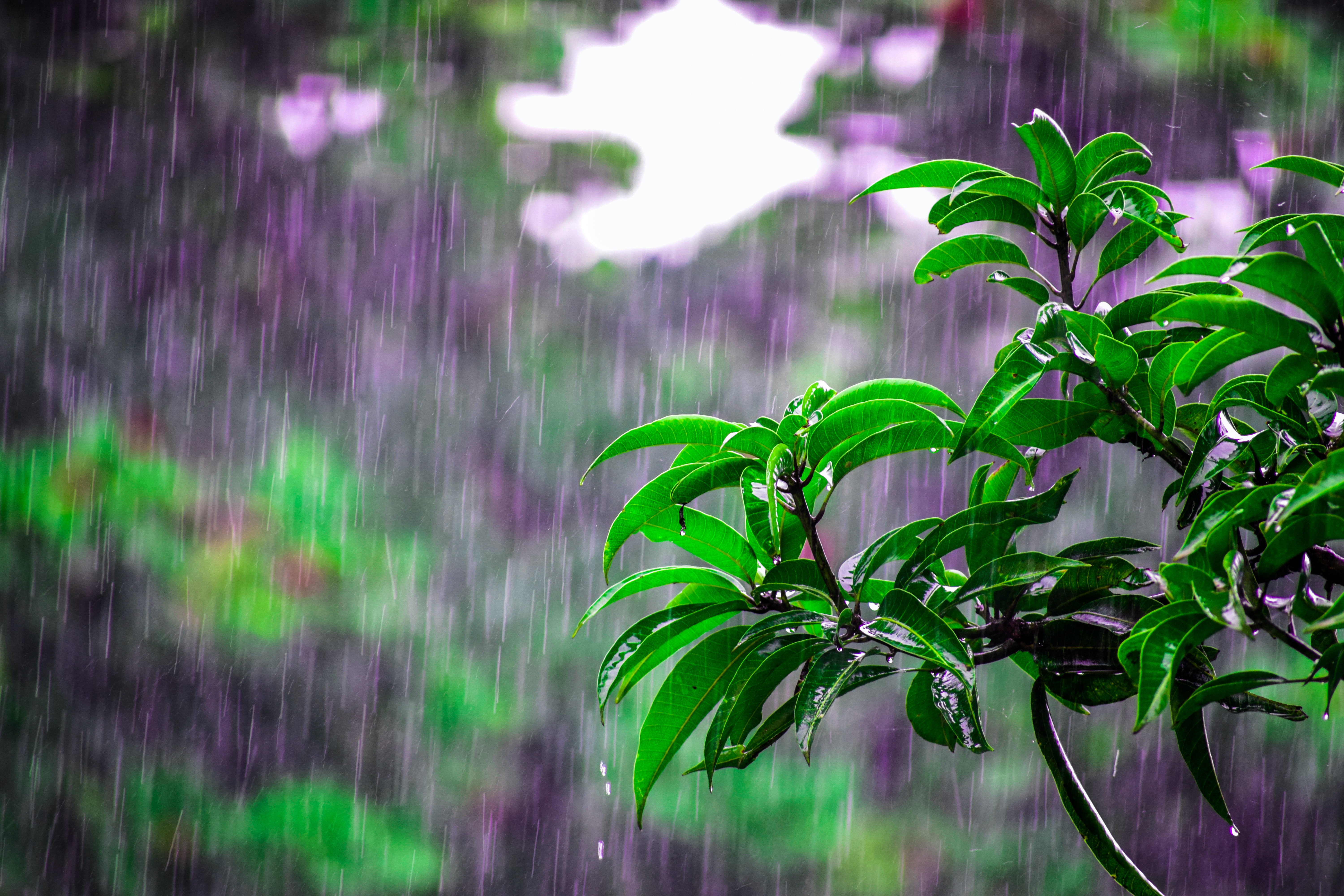 Rainy Days Wallpapers