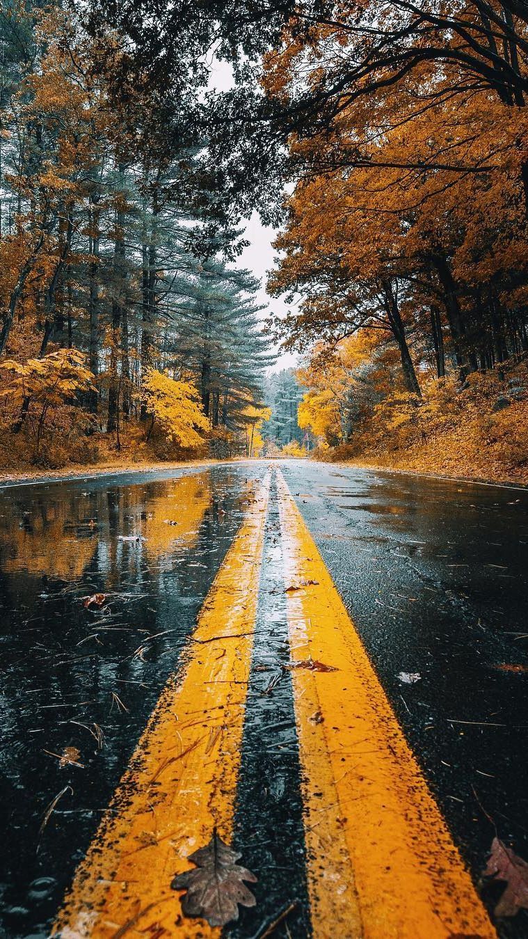 Rainy Phone Wallpapers