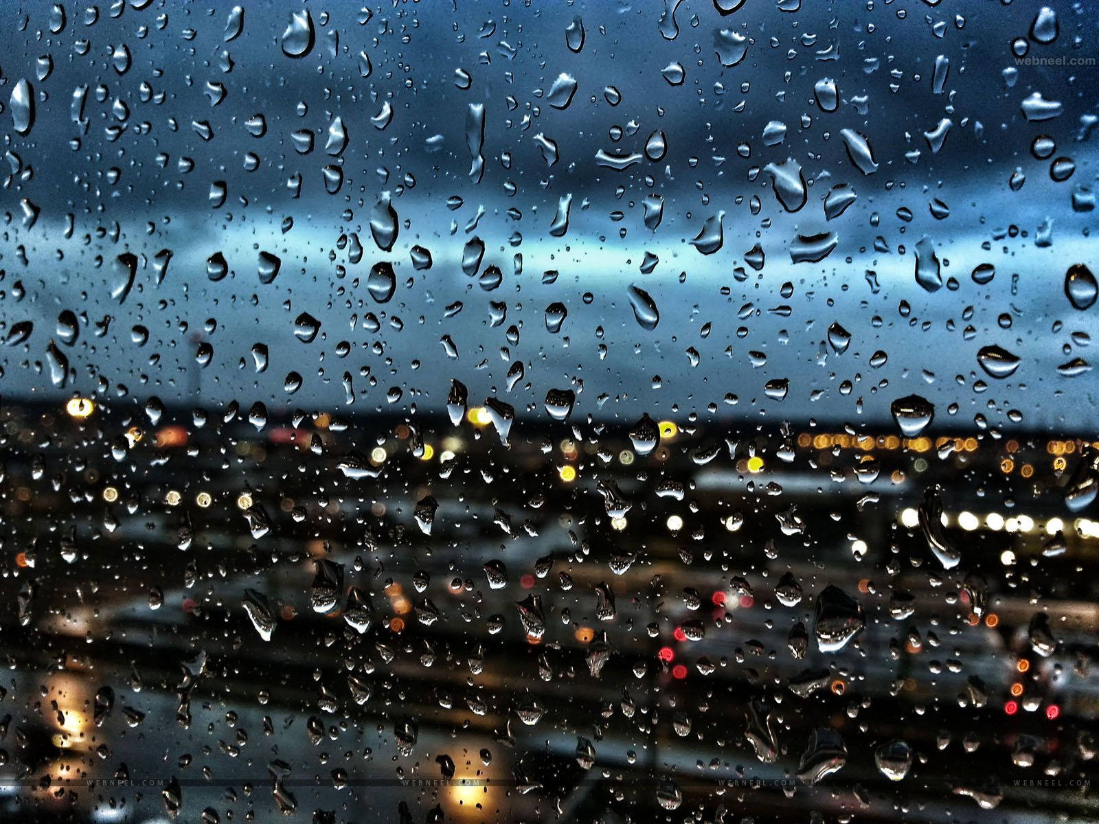 Rainy Phone Wallpapers