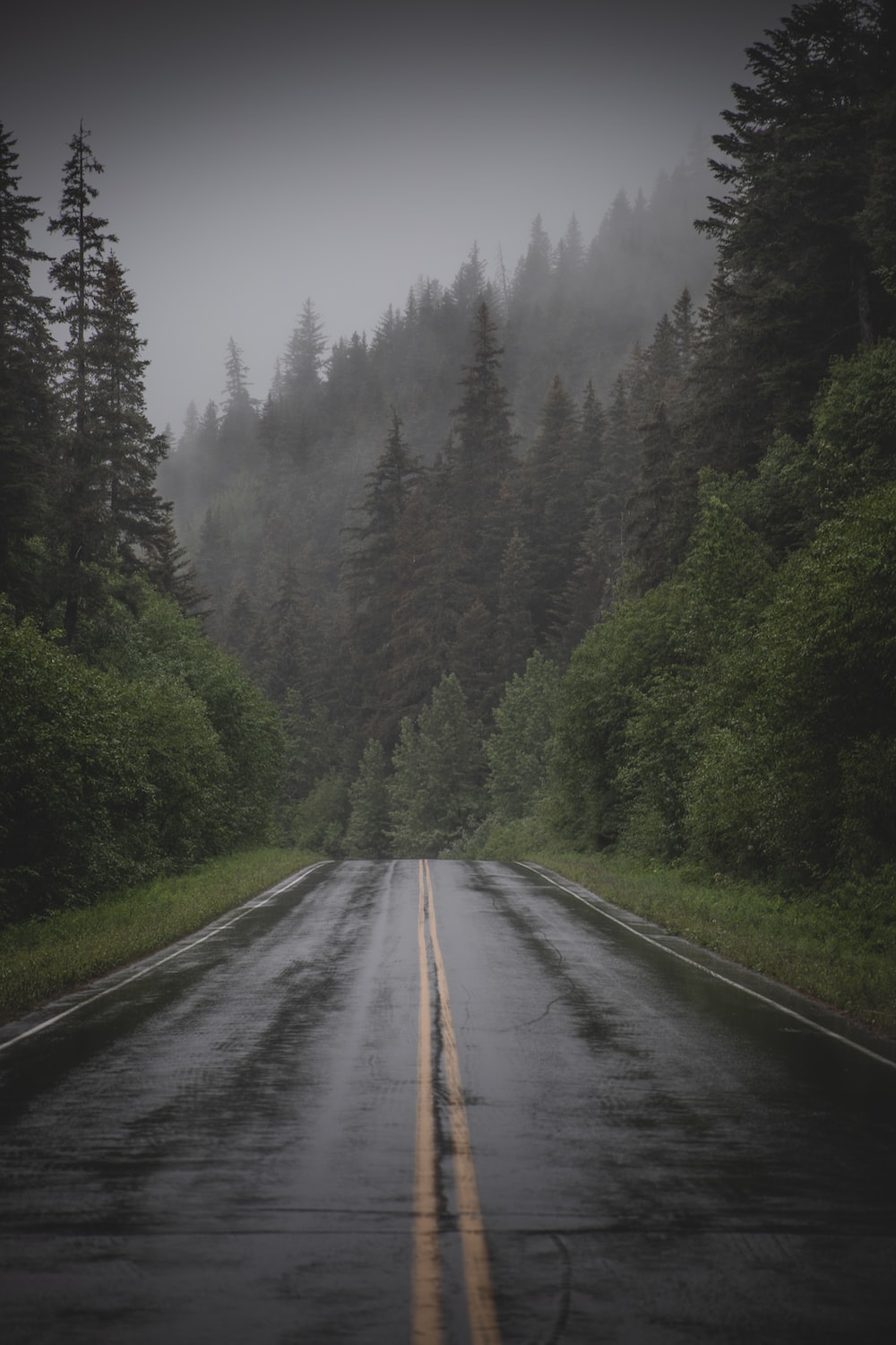 Rainy Road Wallpapers