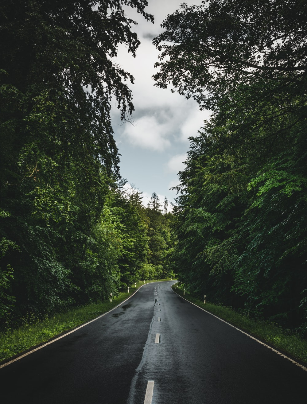 Rainy Road Wallpapers