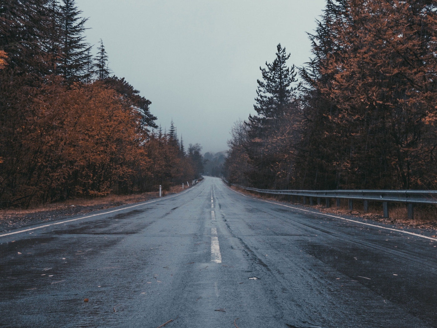 Rainy Road Wallpapers